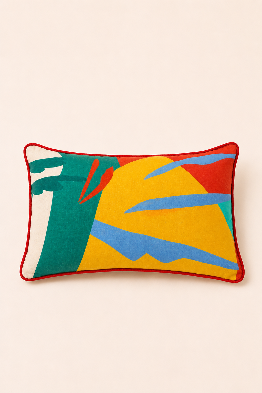 Coussin 1